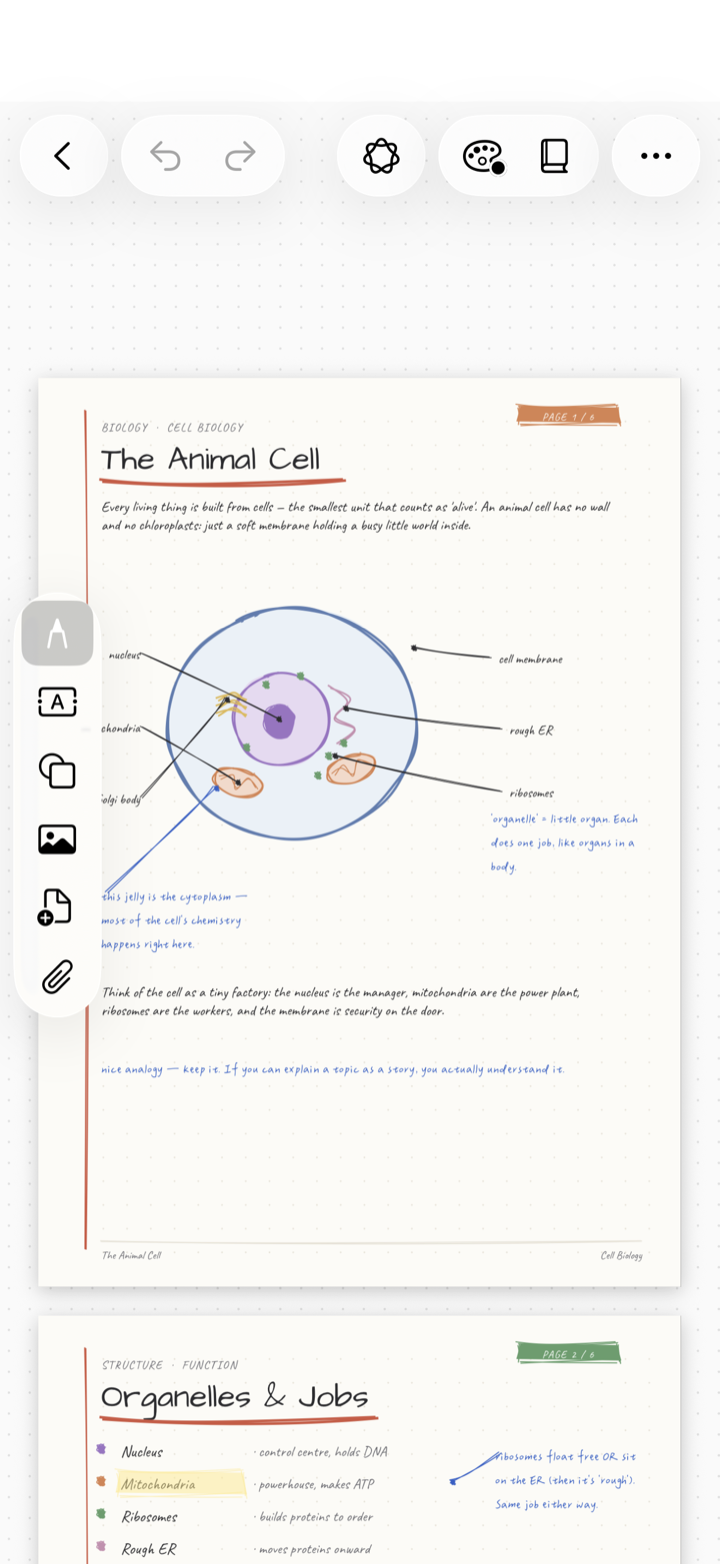 A handwritten biology note with a hand-drawn diagram