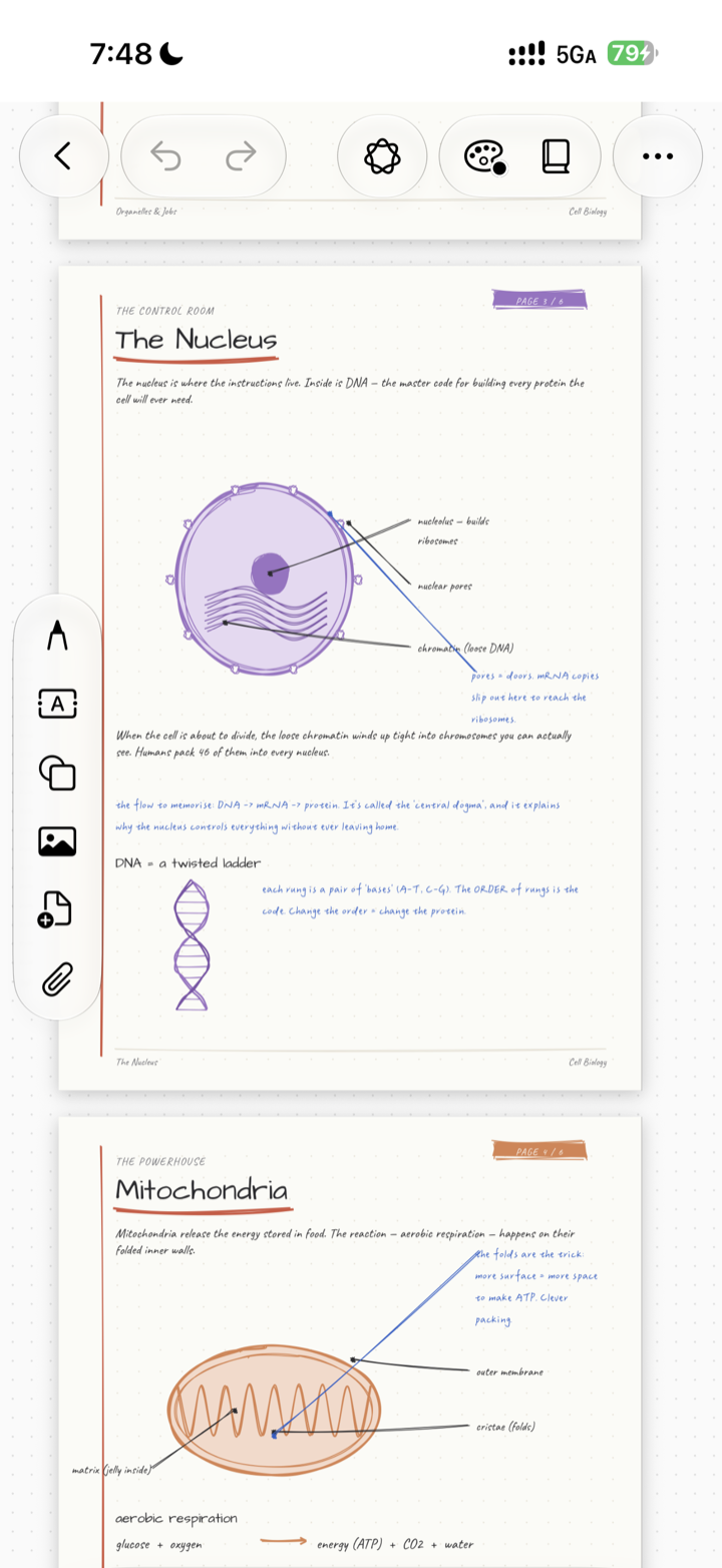 Notelix AI page with generated notes on iPhone